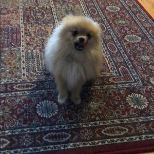 Meet your Posher, Catherine